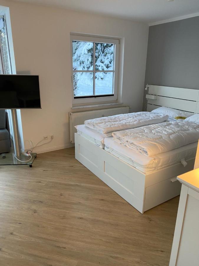 Harztraum-6 Apartment *